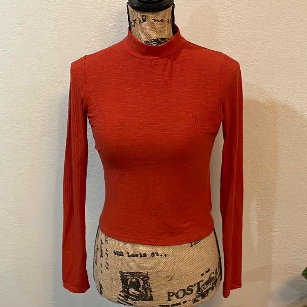 Burnt Red ribbed crop top
